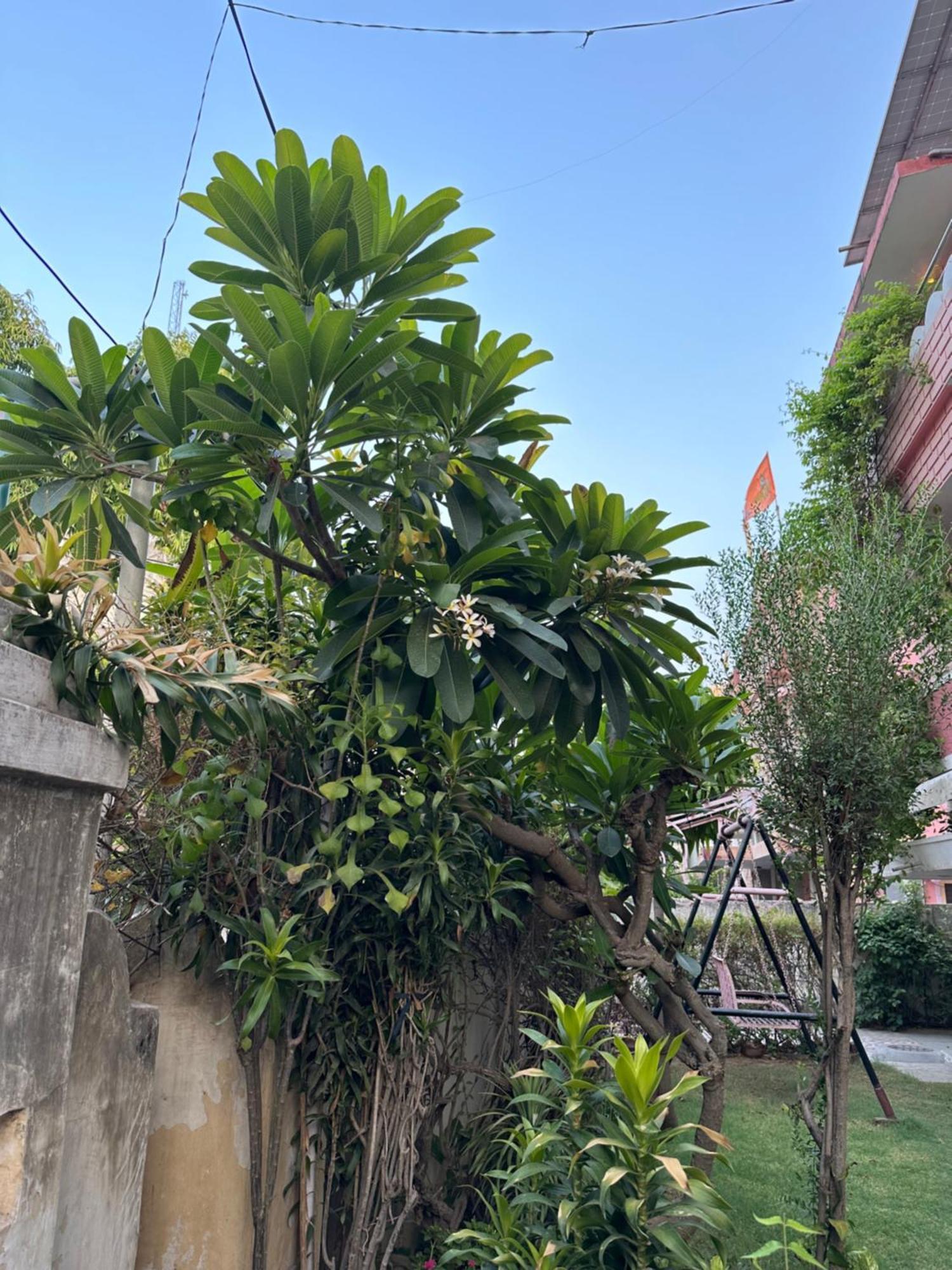 Hotel Jwala Niketan Džajpur Exteriér fotografie